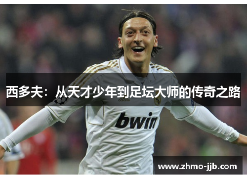 西多夫:从天才少年到足坛大师的传奇之路 西多夫:从天才少年到足坛大师的传奇之路