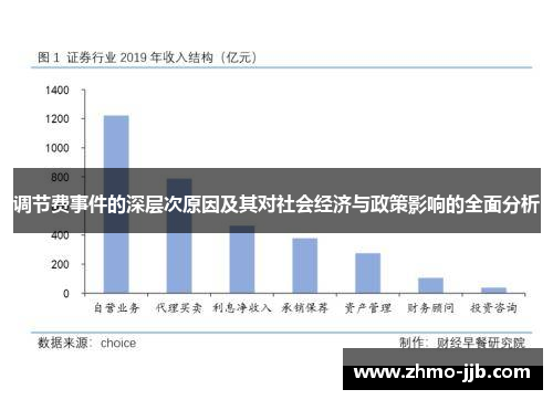 调节费事件的深层次原因及其对社会经济与政策影响的全面分析