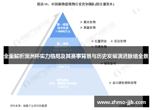 全面解析澳洲杯实力格局及其赛事背景与历史发展演进脉络全景