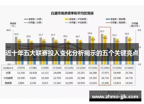 近十年五大联赛投入变化分析揭示的五个关键亮点 近十年五大联赛投入变化分析揭示的五个关键亮点