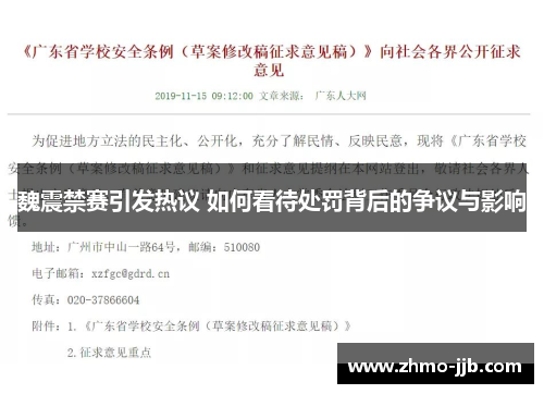 魏震禁赛引发热议 如何看待处罚背后的争议与影响