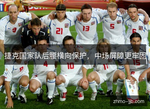 捷克国家队后腰横向保护，中场屏障更牢固